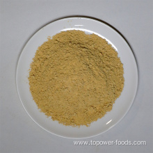 GMO Free Ginger Powder Nice Price